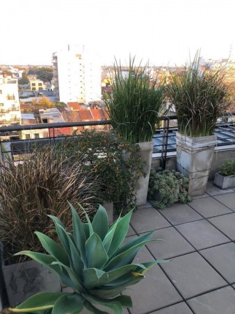 OPORTUNIDAD! CASA EN PH AL FRENTE C/ COCHERA Y JARDIN , HAEDO A 3 CUADRAS DE LA ESTACION