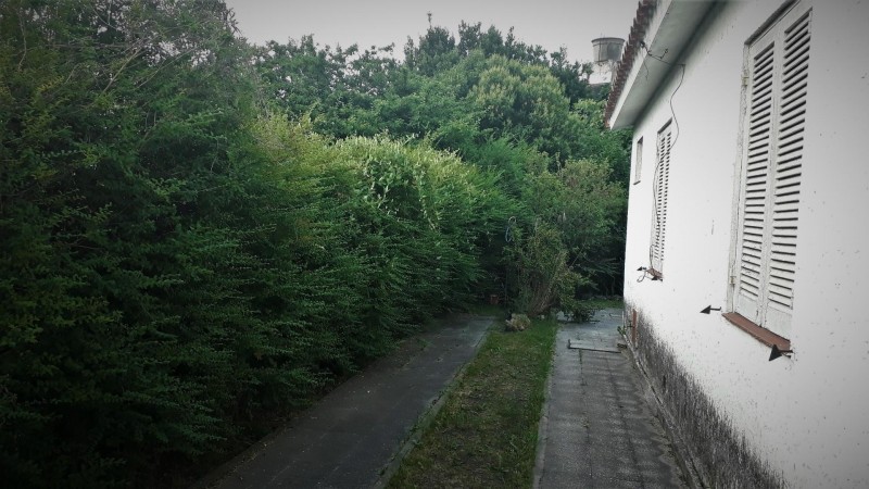 OPORTUNIDAD UNICA EN PARQUE LELOIR SOBRE COLECTORA, CASA 4 AMB. JARDIN, COCHERAS, S/LOTE 10X..., APTO PROFESIONAL/COMERCIAL