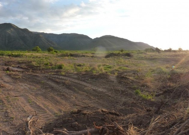 EXCELENTE OPORTUNIDAD EN LAS SIERRAS DE SAN LUIS!! VENTA DE 50 HECTÁREAS, SUBASTA A MITAD DE PRECIO!