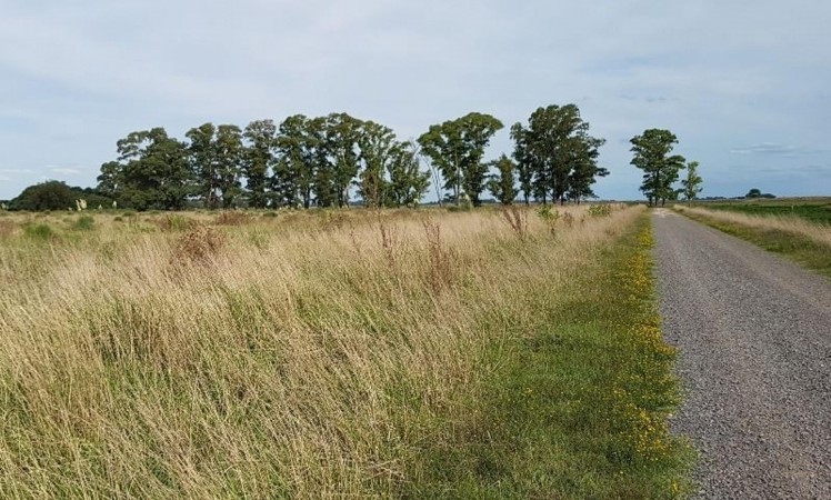 Oportunidad!! Exc Campo De 10ha en Lobos, Zona Haras, Agricola Ganadera, ideal emprendimiento!