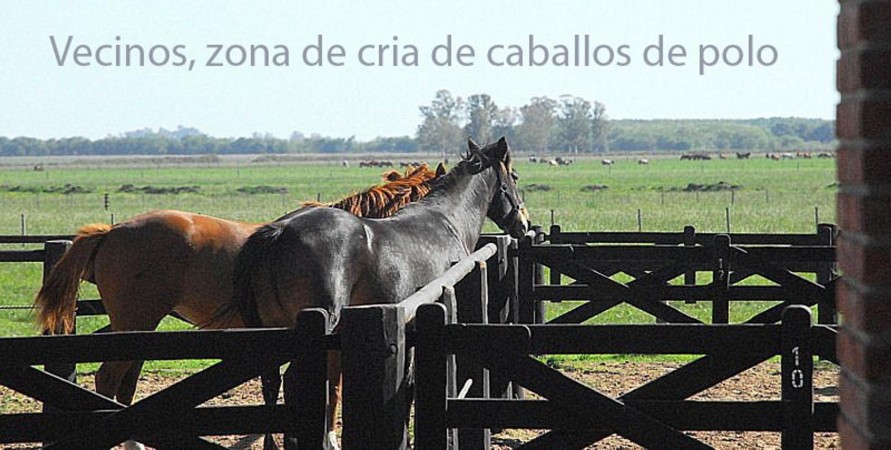 Oportunidad!! Exc Campo De 10ha en Lobos, Zona Haras, Agricola Ganadera, ideal emprendimiento!