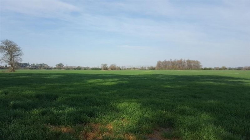 Oportunidad!! Exc Campo De 10ha en Lobos, Zona Haras, Agricola Ganadera, ideal emprendimiento!