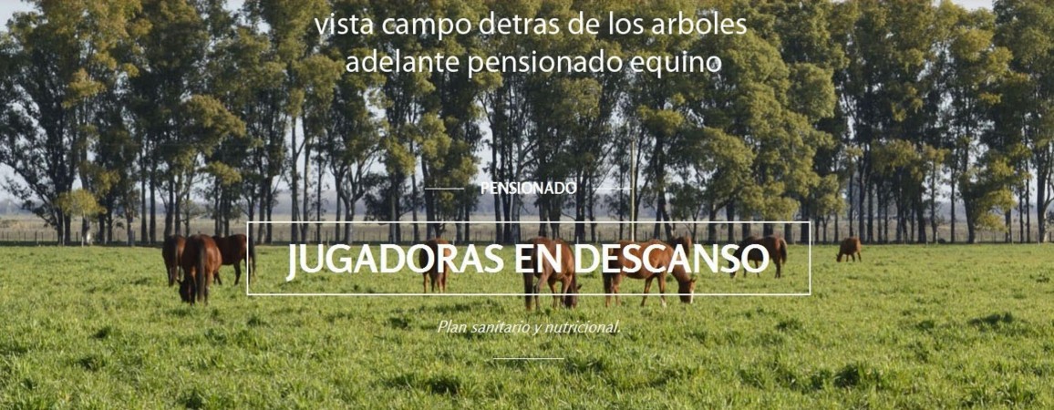 Oportunidad!! Exc Campo De 10ha en Lobos, Zona Haras, Agricola Ganadera, ideal emprendimiento!