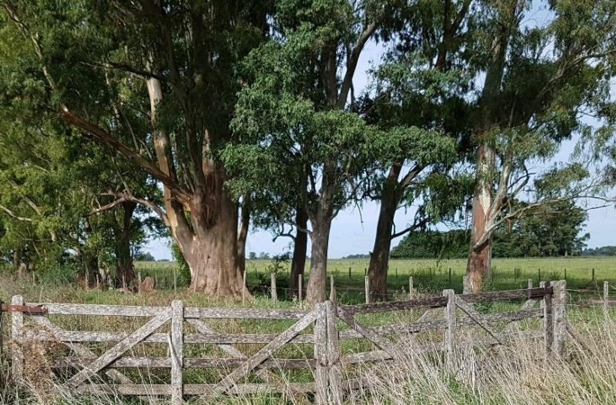 Oportunidad!! Exc Campo De 10ha en Lobos, Zona Haras, Agricola Ganadera, ideal emprendimiento!