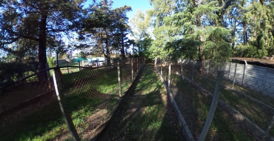 EXCELENTES LOTES A 2 CUADRAS DEL TORTUGAS OPEN MALL, LOTES DE 300 Y 400 M2