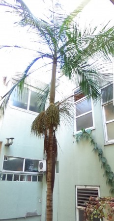 PH SOBRE LA AVENIDA J.B. ALBERDI A 5 MIN DEL CENTRO COMERCIAL DE CABALLITO Y A 2 CUADRAS DE RIVADAVIA OPORTUNIDAD HOY!