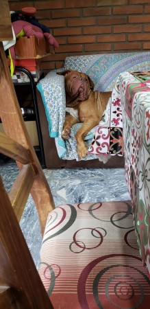 OPORTUNIDAD!! EXCELENTE PH EN VILLA LURO, 4 AMB, QUINCHO, TERRAZA, AL FRENTE!!