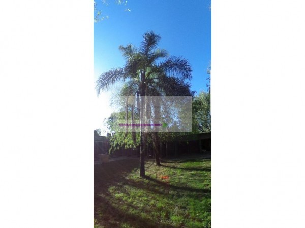 CASA A REMODELAR SOBRE 3 LOTES INDEPENDIENTES, SON 1.200 M2, CADA LOTE TIENE 400M2